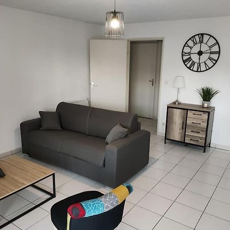 Spacieux Et Joli Appartement De 2 A 4 Personnes • Parking • Wifi Fenouillet  エクステリア 写真