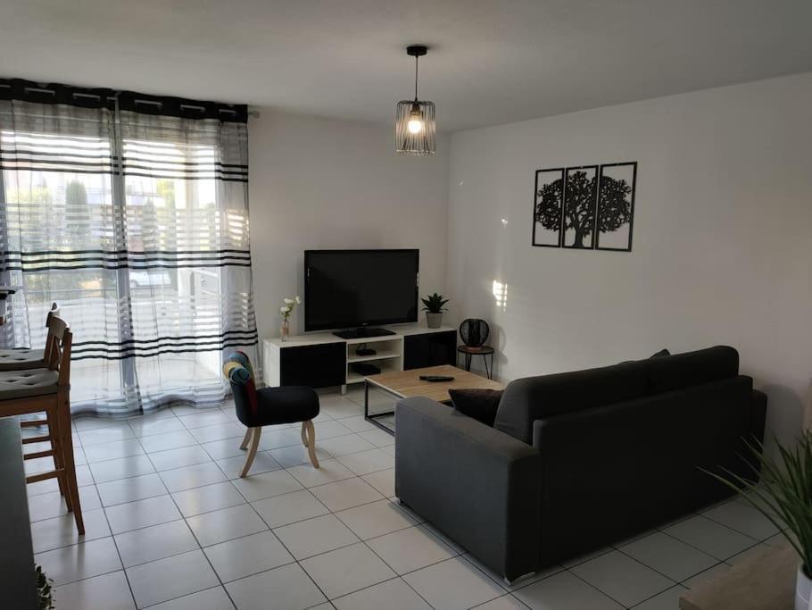 Spacieux Et Joli Appartement De 2 A 4 Personnes • Parking • Wifi Fenouillet  エクステリア 写真
