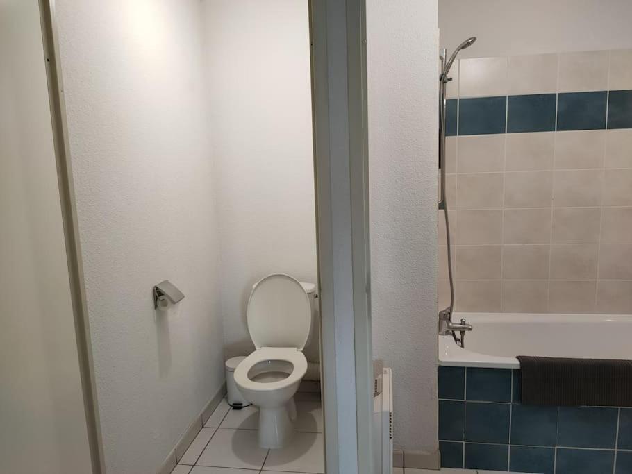 Spacieux Et Joli Appartement De 2 A 4 Personnes • Parking • Wifi Fenouillet  エクステリア 写真