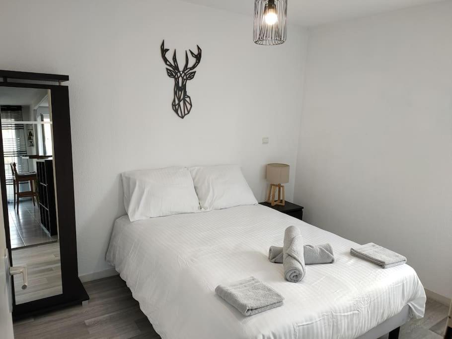 Spacieux Et Joli Appartement De 2 A 4 Personnes • Parking • Wifi Fenouillet  エクステリア 写真