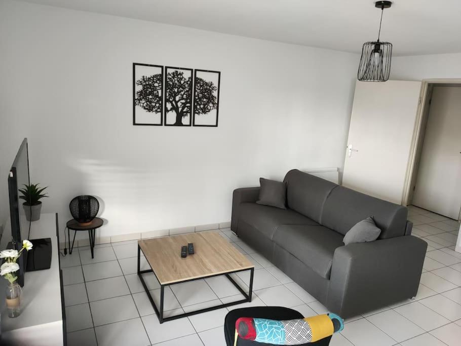 Spacieux Et Joli Appartement De 2 A 4 Personnes • Parking • Wifi Fenouillet  エクステリア 写真