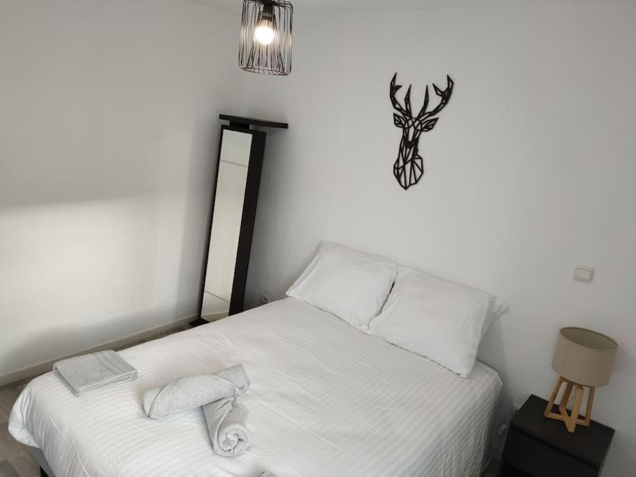 Spacieux Et Joli Appartement De 2 A 4 Personnes • Parking • Wifi Fenouillet  エクステリア 写真